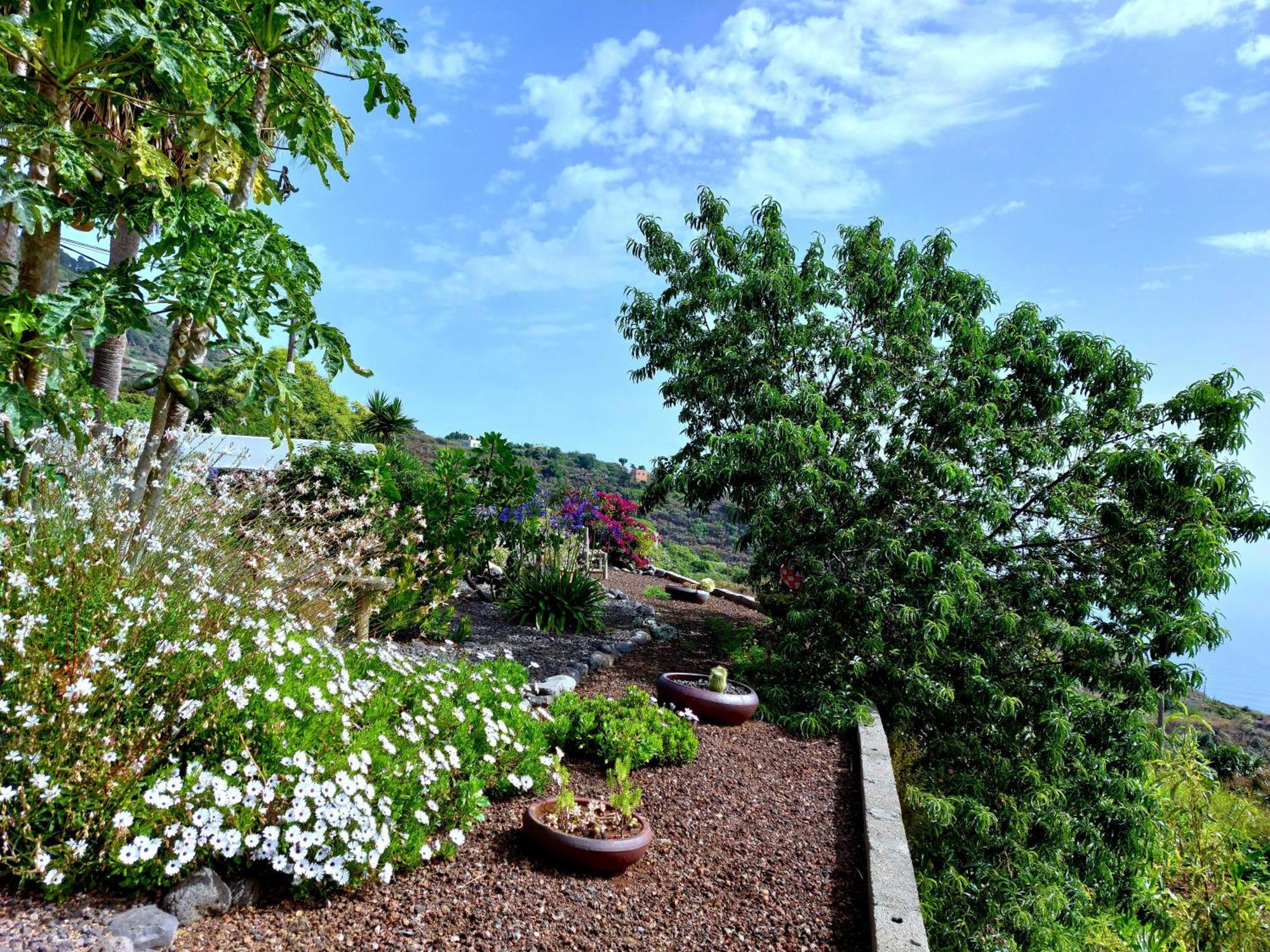 Villa Eloína Barlovento Exterior foto